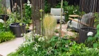 Thumbnail: A garden with plants and chairs
