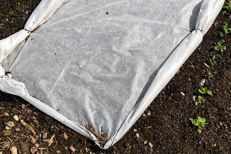 A white fleece sheet on dirt