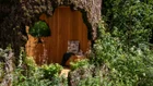 Thumbnail for slide 3