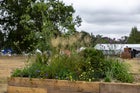 Thumbnail: Norfolk Coast: A Long Border for Climate Resilience