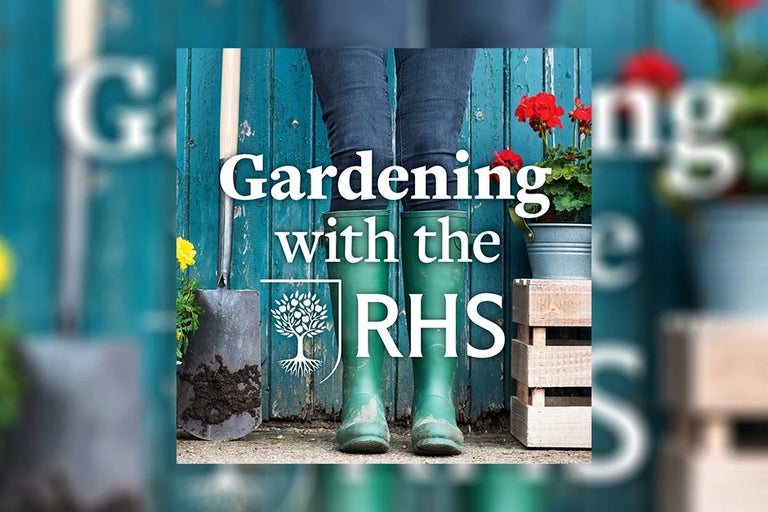 Tom Massey on the RHS podcast