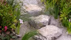 Thumbnail for slide 3