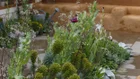 Thumbnail for slide 4