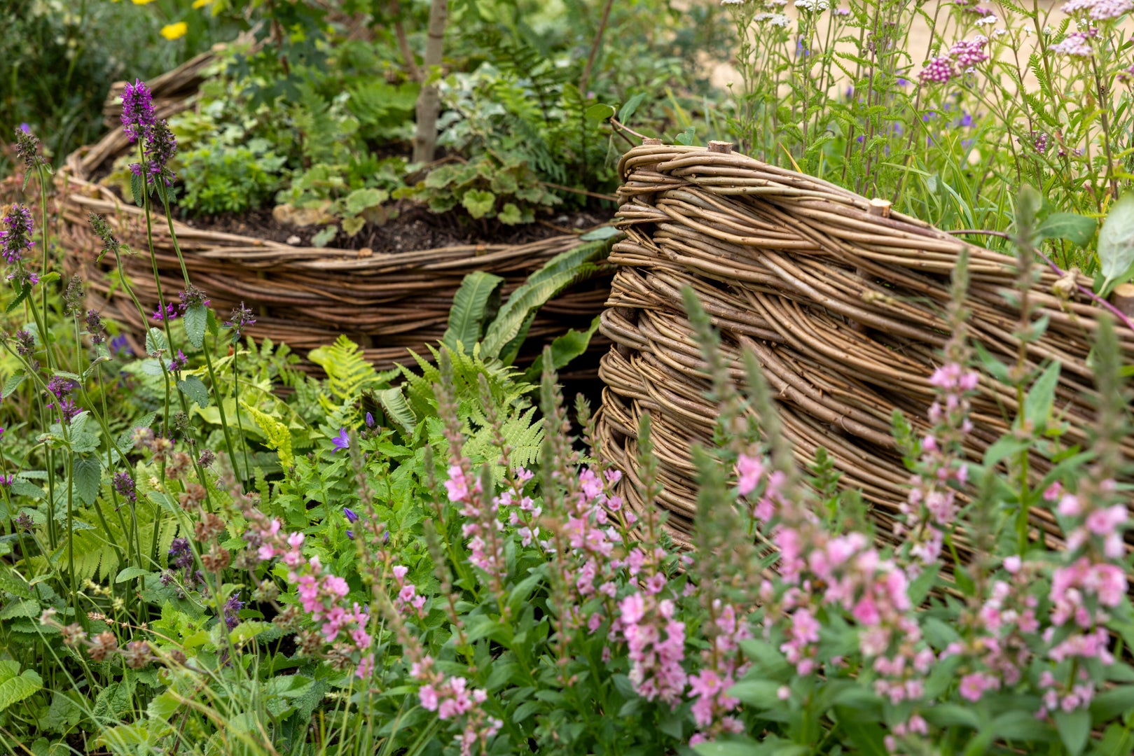 The Norfolk Weave Border Kind to Soil, Nature and Soul