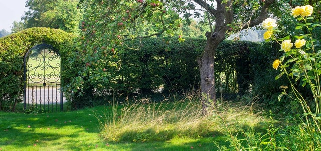 Plant a bare root mixed wildlife hedge