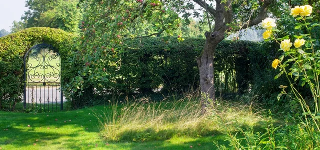 Plant a bare root mixed wildlife hedge