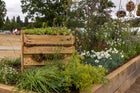 Thumbnail: Nurture Nature – Nature Nurtures