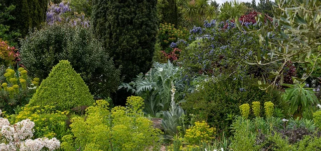 Add award-winning plants with bold foliage