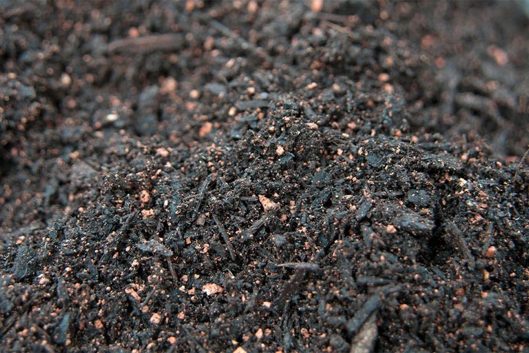 What’s in a peat free compost