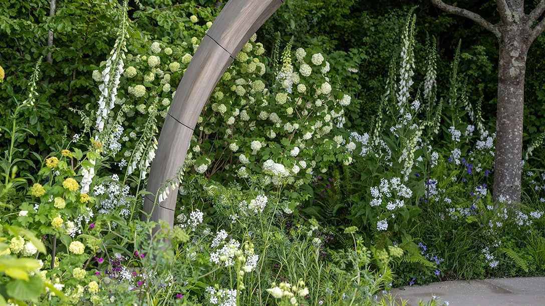 A garden with white flowers