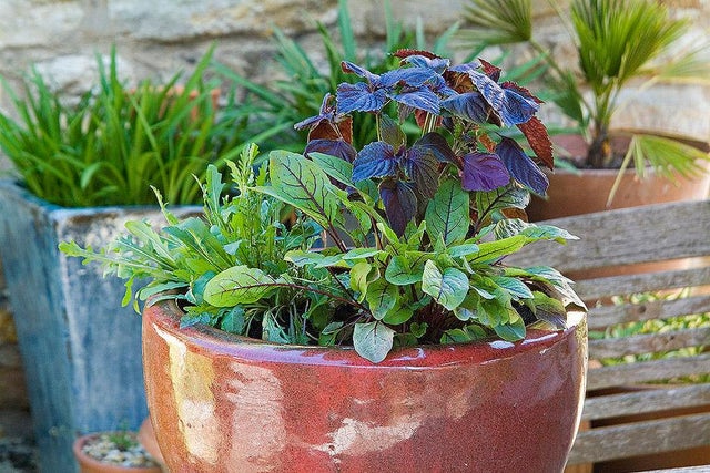 Ideas for containers
