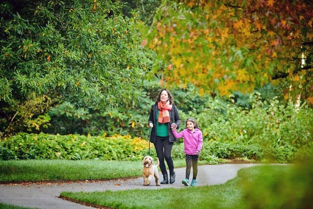 A woman and child walking a dog