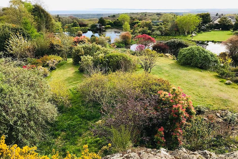 Glenwhan Garden & Arboretum, Dumfries and Galloway