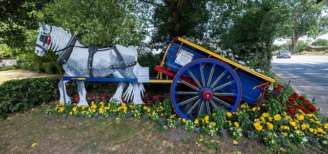 Filby in Bloom’s secrets for success