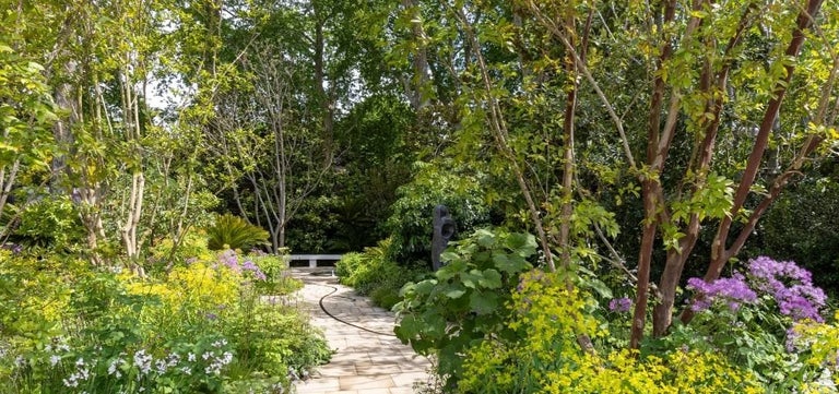 5 climate-resilient trees from RHS Chelsea 2026
