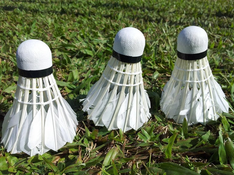 Fun facts about the Badminton Estate