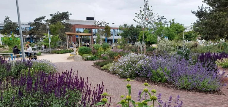 The Princess of Wales visits Colchester Wellbeing Garden