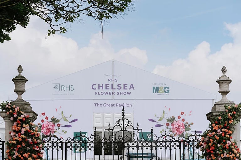 The first ever autumn Chelsea