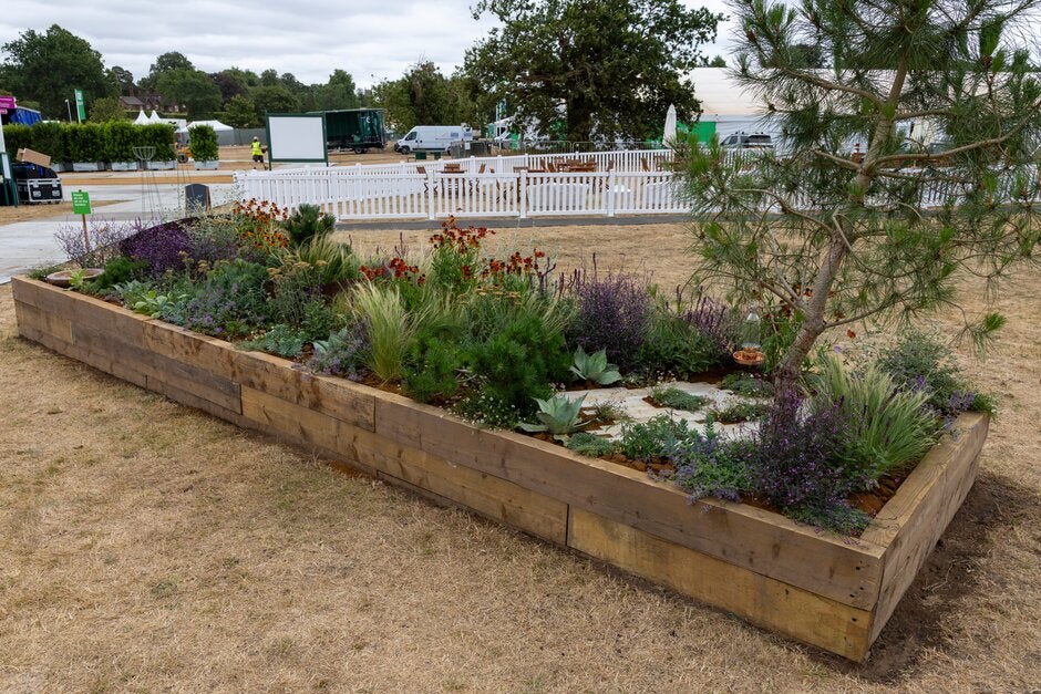 The Goldcrest Garden: Restoring Habitat, Repairing Climate