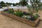 Thumbnail: The Goldcrest Garden: Restoring Habitat, Repairing Climate