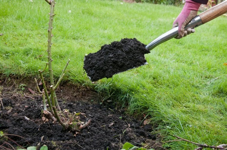 Gardening for the environment