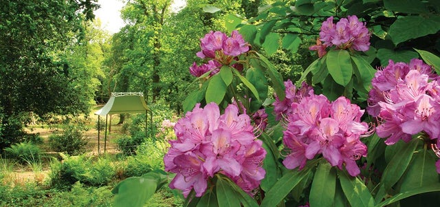 RHS Partner Gardens inspired by Japan