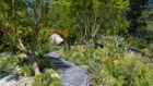 Thumbnail for slide 2