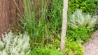 Thumbnail for slide 3