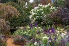 Thumbnail: RHS Royal Legacy Garden