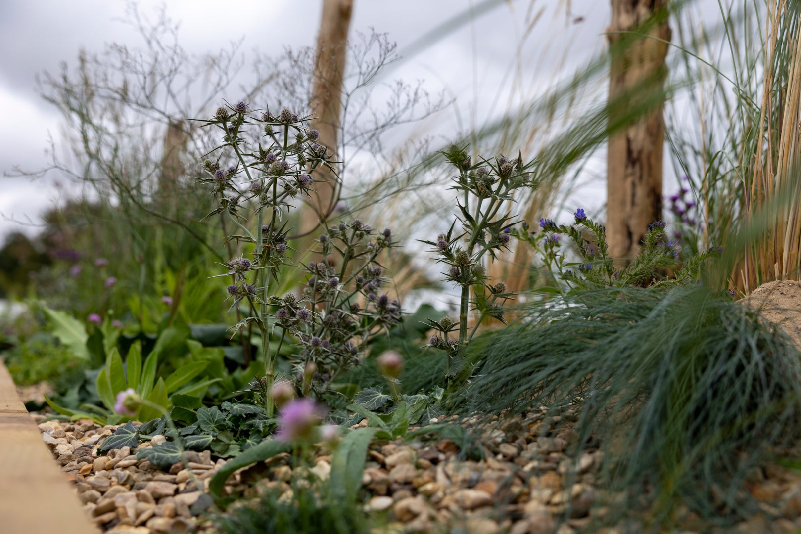 Naturally Resilient: Inspired by the Norfolk Coast