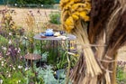 Thumbnail: Growing with Many Hands
