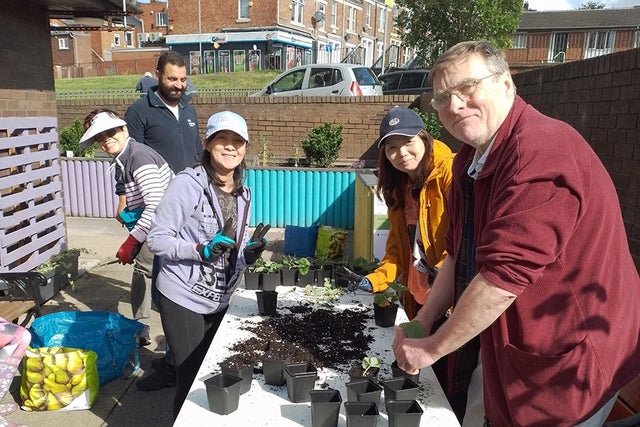 Growing food from different cultures