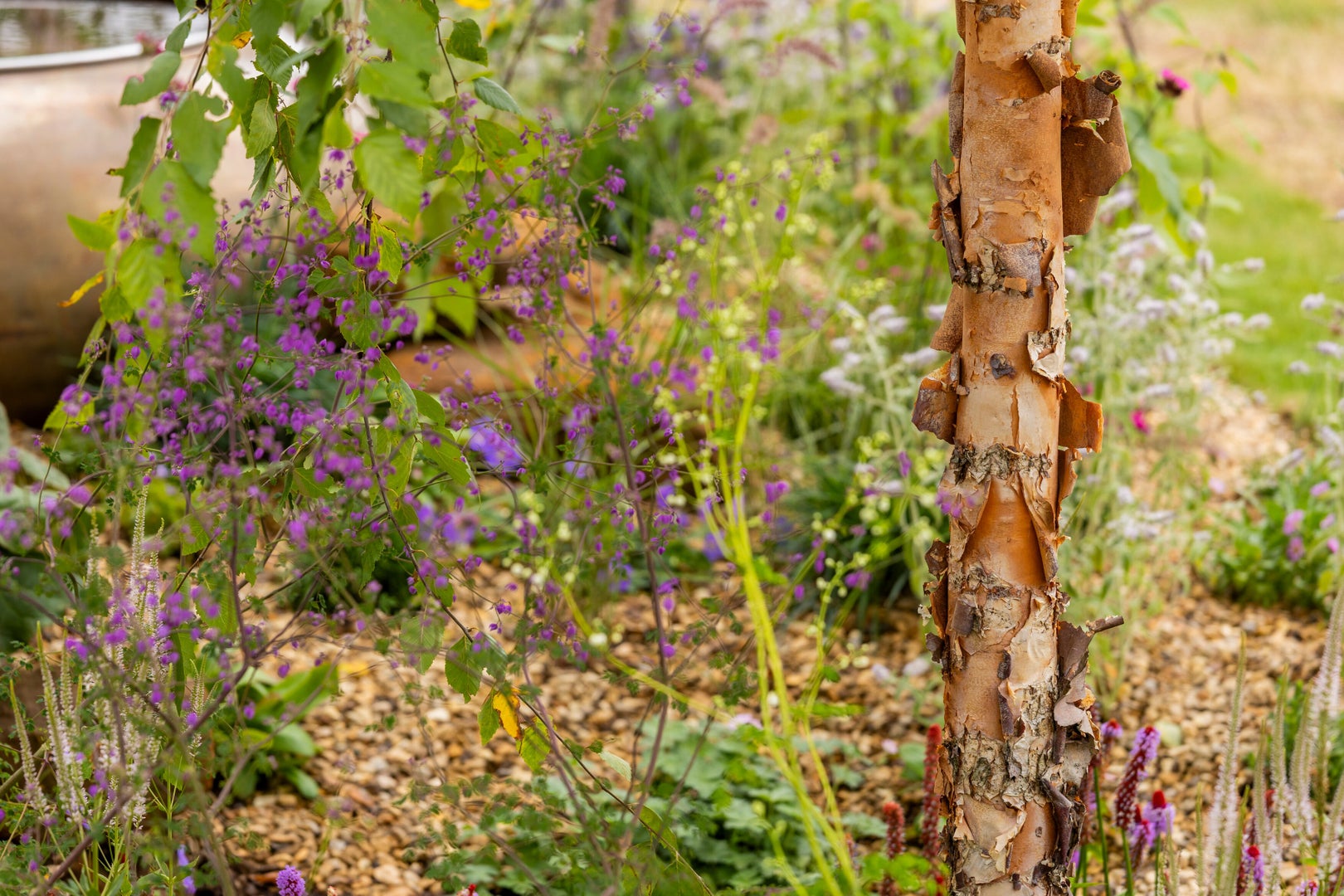 The Chestnut Group garden for The Gurkha Welfare Trust