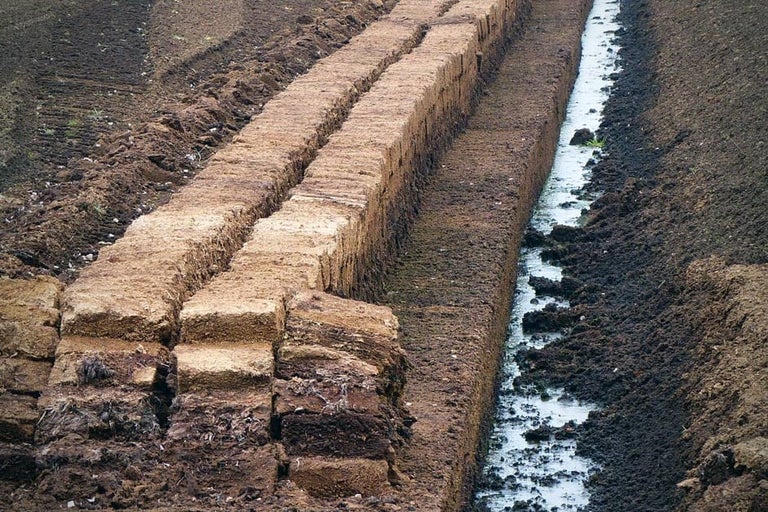 Peat-free gardening