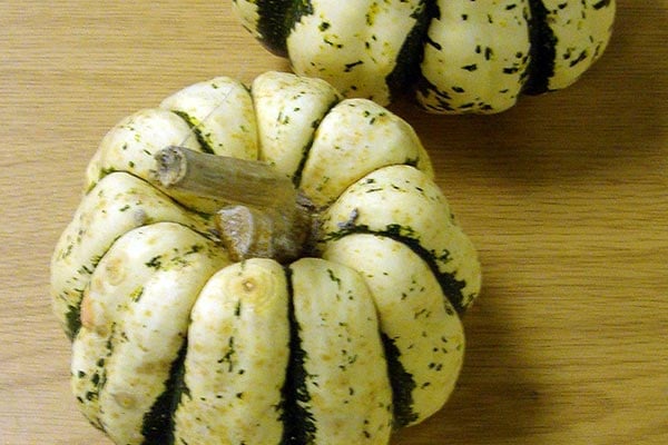 'Sweet Dumpling' AGM