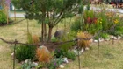 Thumbnail for slide 1