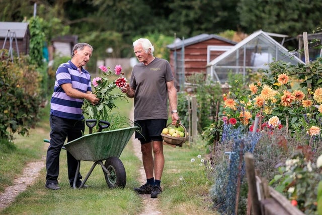 Allotments – all you need to know