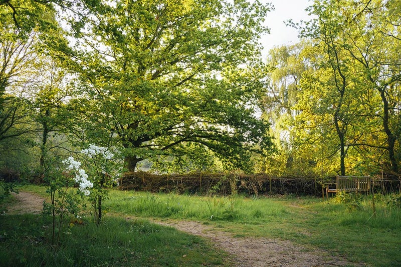 Beth Chatto’s Plants and Gardens, Essex