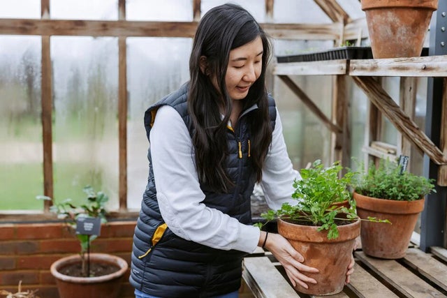Gardening for all