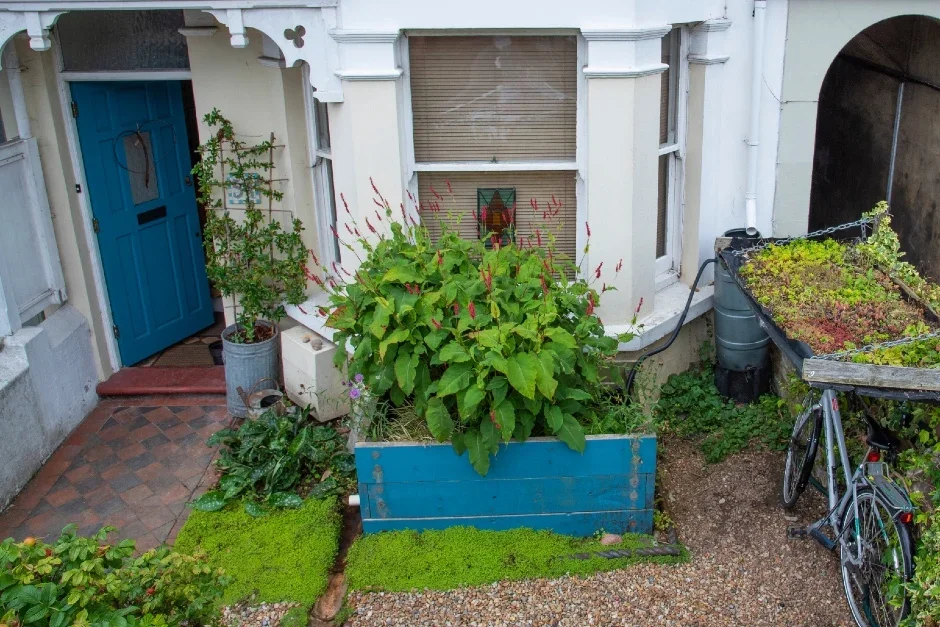 9. Make a rain garden