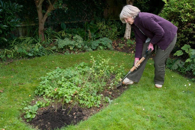 Gardening for health and wellbeing