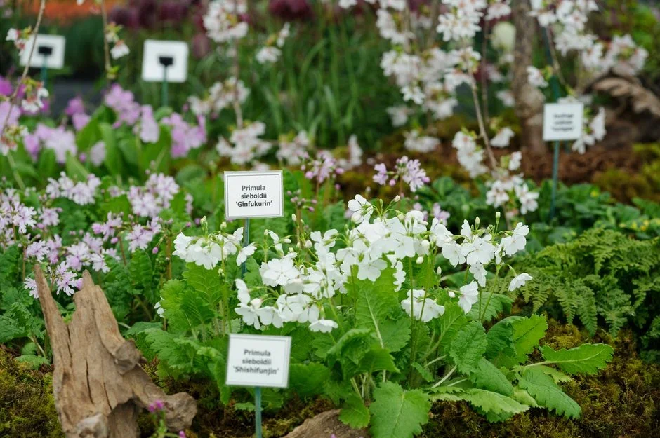 Staddon Farm Nurseries