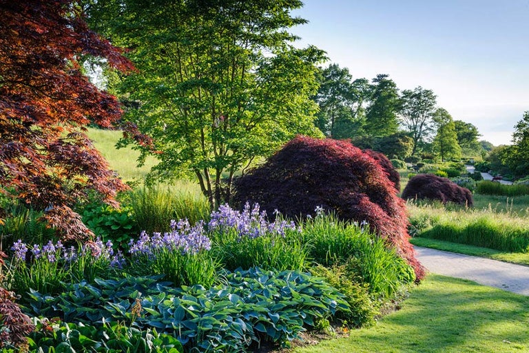 Gardens full of new ideas