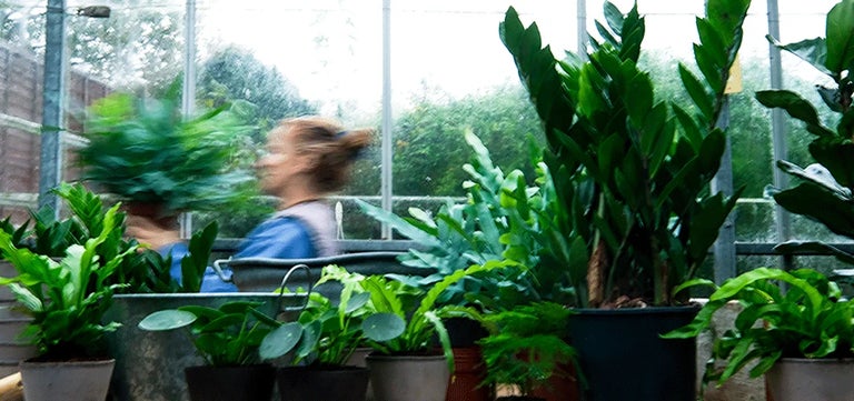 Growing hope and houseplants in prison