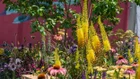 Thumbnail for slide 3