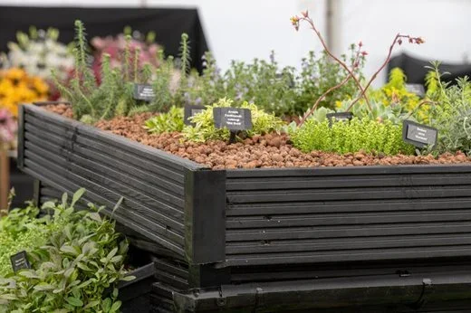 Skerne Alpines