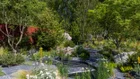 Thumbnail for slide 1