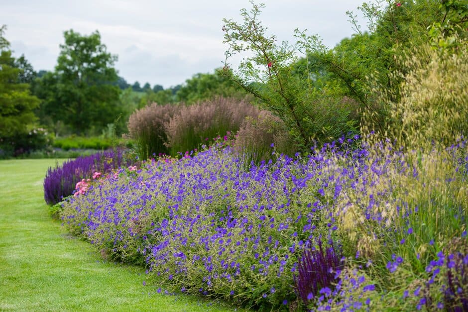 Shrubs, long-flowering perennials and seedheads of ornamental grasses provide interest through the seasons