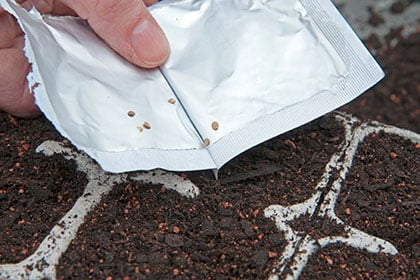 Seed compost