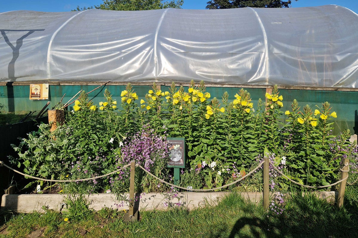 The Moon Garden at Redcatch Community Garden